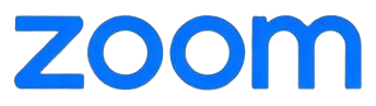 Zoom logo