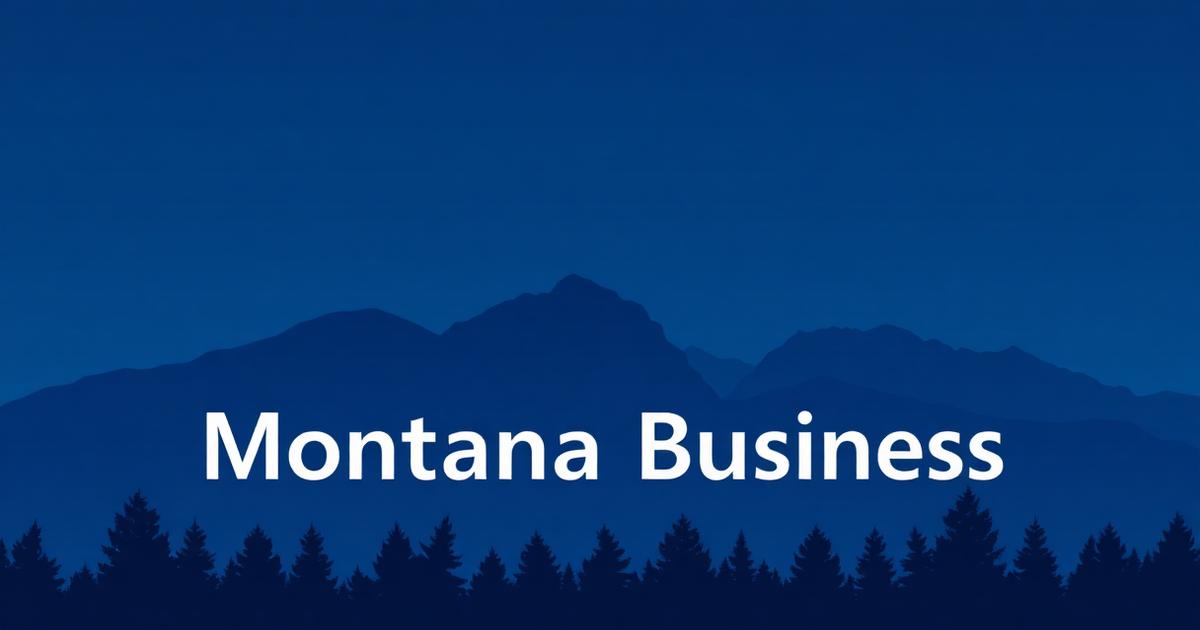 Case Study — Big Sky Telecom — Big Sky Telecom